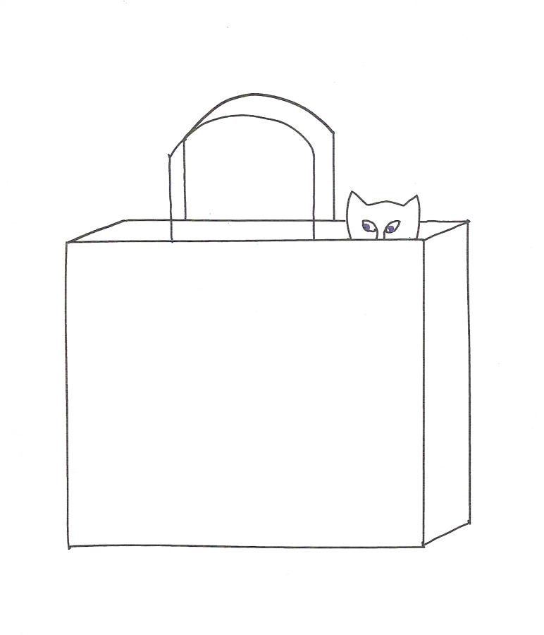 Cat hammocks furniture