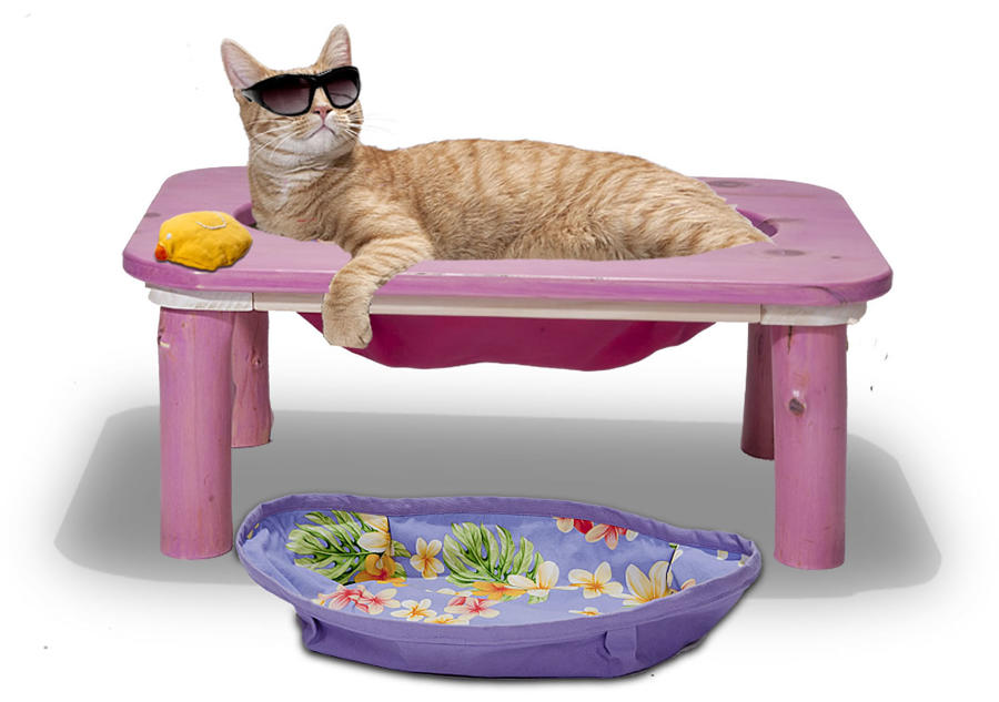 In the pink Cat hammock with Peedee