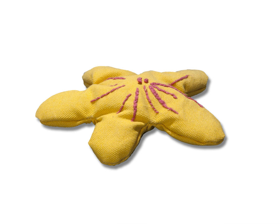 Plumeria cat toy yellow